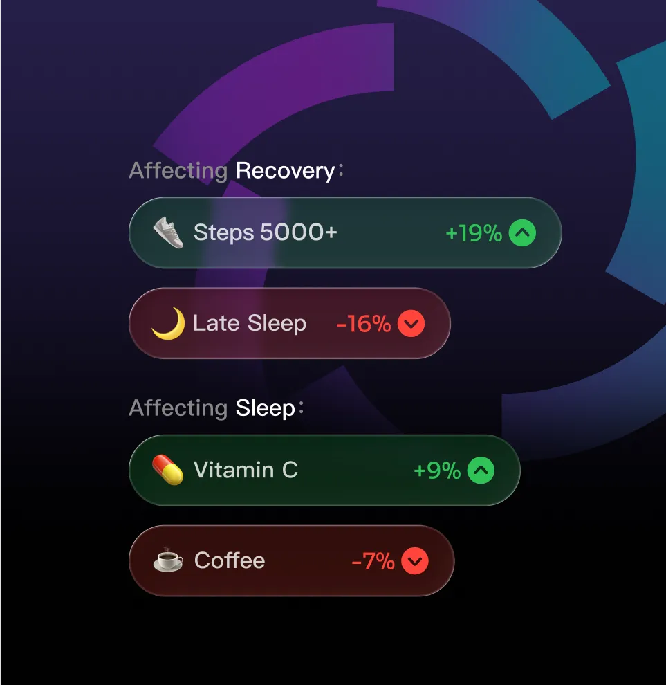 PeakWatch Insights Interface
